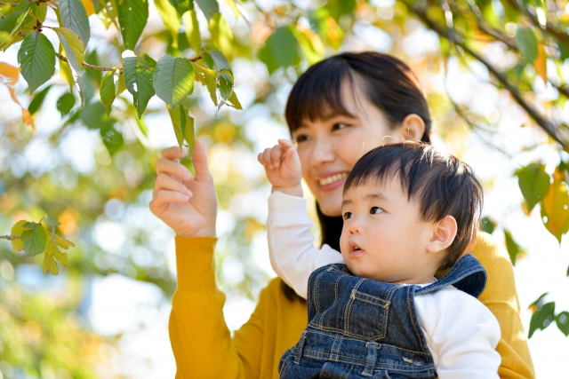 子供の立場に立つ・一緒に楽しむ